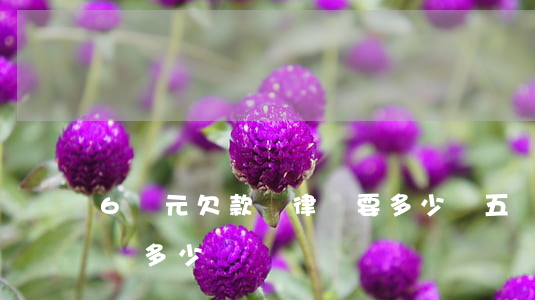 6萬元欠款請律師要多少錢(五萬元欠款律師費多少)