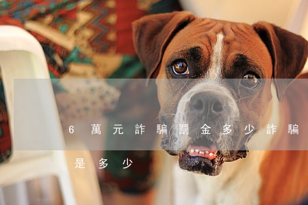 6萬元詐騙罰金多少(詐騙倆萬元,法院處罰金是多少)