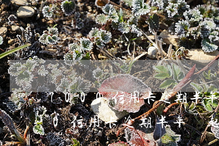 7000信用卡逾期半年會起訴嗎-7000信用卡逾期半年會起訴嗎知乎