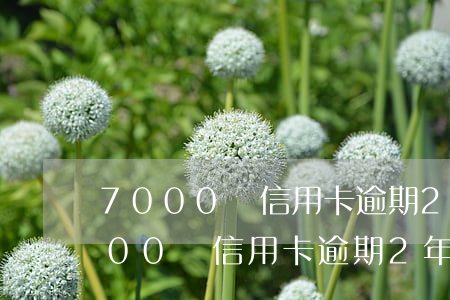 7000塊信用卡逾期2年利息多少-7000塊信用卡逾期2年利息多少錢