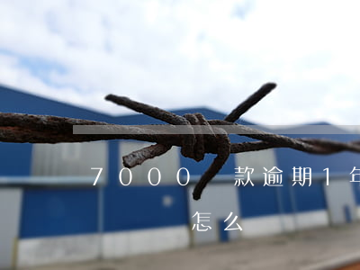 7000貸款逾期1年半(貸款幾千逾期一年沒還會怎么樣)
