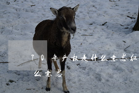 70年产权是什么意思(红本70年产权是什么意思)