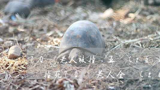 70歲老人被撞傷五責(zé)后期賠多少錢(撞死70歲老人全責(zé)大概賠償多少)