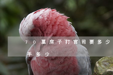 70萬房子打官司要多少錢(房子賣70萬到手多少)