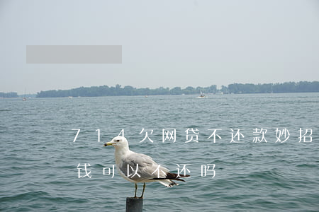 714欠网贷不还款妙招(网贷714借条的钱可以不还吗?)