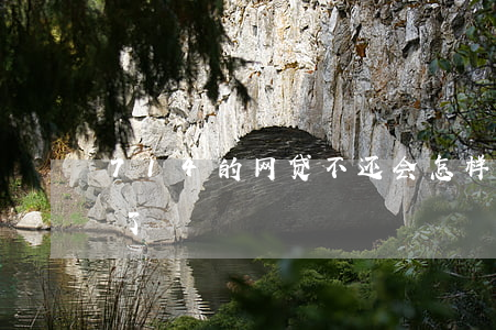 714的网贷不还会怎样(被714网贷起诉了)