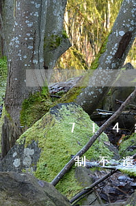 714網(wǎng)貸強(qiáng)制不還后果(714網(wǎng)貸強(qiáng)制不還后果)