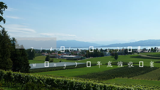 714網(wǎng)貸暴力催收排名(網(wǎng)貸年底催收厲害了)