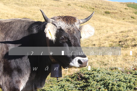 714網(wǎng)貸逾期會坐牢嗎(網(wǎng)貸714不還結果會怎么樣)