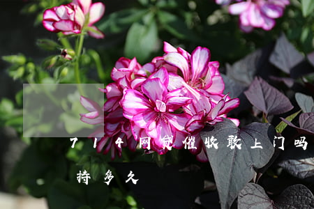714网贷催收敢上门吗(714催收一般坚持多久)