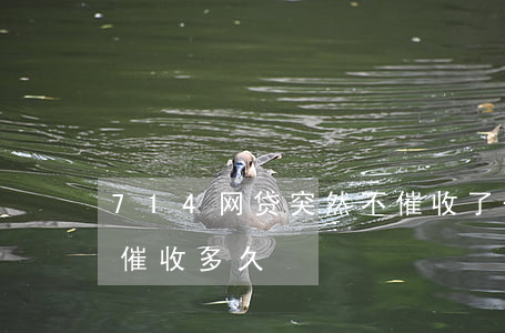 714网贷突然不催收了(一两千的714会催收多久)
