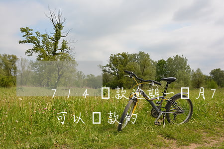 714貸款逾期一個月(714都拒還有什么可以貸款的)