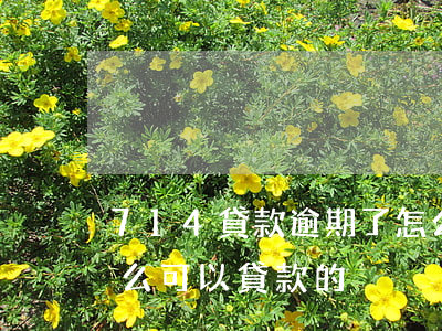 714貸款逾期了怎么辦(714都拒還有什么可以貸款的)