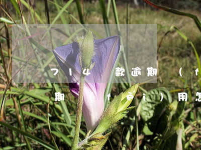 714貸款逾期費(fèi)怎么算(貸款逾期費(fèi)用怎么算)