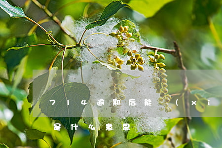 714逾期后能協(xié)商 714逾期是什么意思