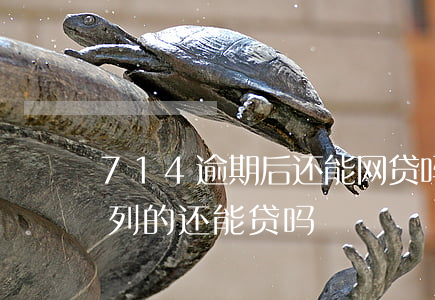 714逾期后还能网贷吗(714逾期了同系列的还能贷吗)