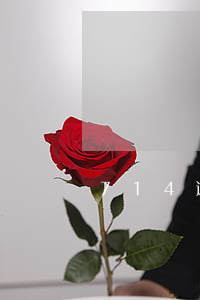 714逾期多久后才可以再擼(714逾期吧)