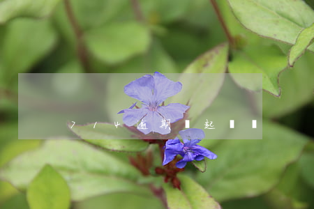 714逾期會起訴嗎