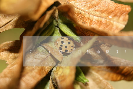 714違法貸款逾期了(714違法貸款逾期了)