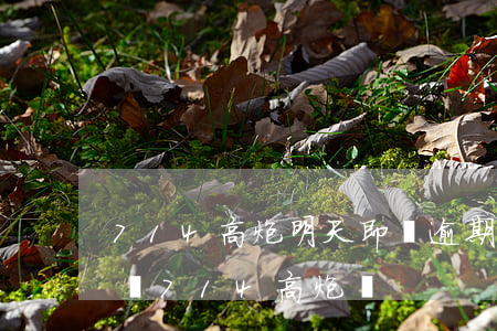 714高炮明天即將逾期(高炮逾期后還能申請714高炮嗎)