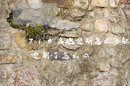 714高炮逾期怎么办融360 714高炮逾期了怎么办