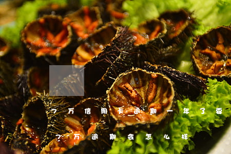 7万信用卡逾期一年了要还多少（单张信用卡7万逾期会怎么样）
