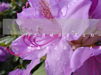 7万借呗没有还逾期一天多少利息-7万借呗没有还逾期一天多少利息啊