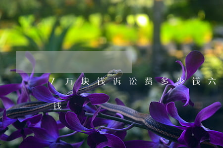 7万块钱诉讼费多少钱(六万块钱诉讼费多少钱)