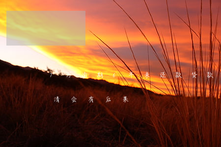 7万逾期6年未还款(贷款逾期七天及时已还清会有后果)