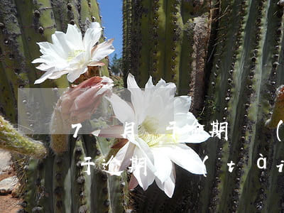 7個月處于逾期狀態(tài)-7個月處于逾期狀態(tài)是多久