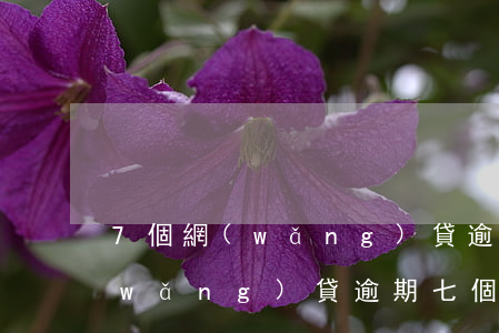 7個網(wǎng)貸逾期我該怎么辦(網(wǎng)貸逾期七個月)