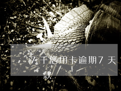 7千信用卡逾期7天還(7千信用卡逾期7天還款)