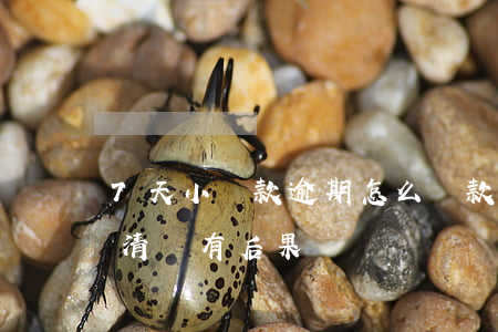 7天小貸款逾期怎么(貸款逾期七天及時已還清會有后果)