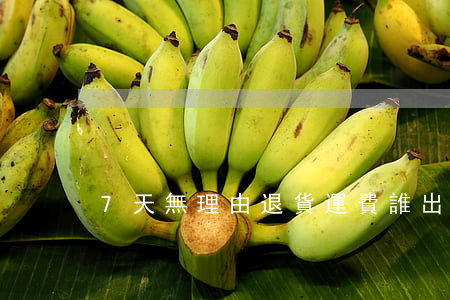 7天無理由退貨運費誰出