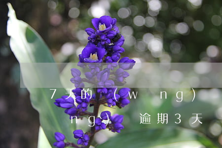 7天的網(wǎng)貸逾期40家(網(wǎng)貸逾期3天)