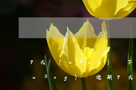 7天網(wǎng)貸下架逾期幾個月(網(wǎng)貸逾期7天會上征信嗎)