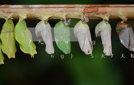 7天網(wǎng)貸不還真的沒事嗎(網(wǎng)貸5天7天短期貸不還會怎么樣)