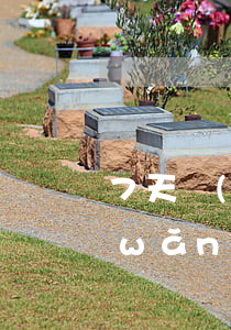 7天網(wǎng)貸欠多久爆通訊錄(網(wǎng)貸逾期三天爆通訊錄)