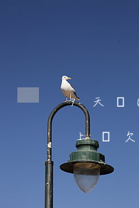 7天網(wǎng)貸欠多少會(huì)上門(欠網(wǎng)貸多少才會(huì)上門)