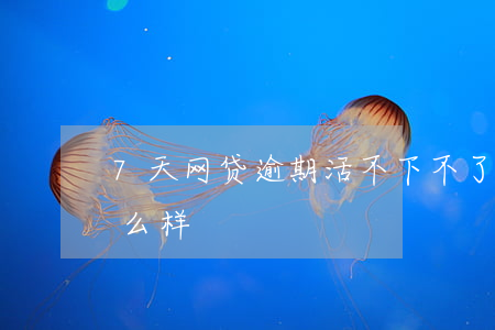 7天网贷逾期活不下不了(网贷逾期七天会怎么样)