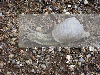 7天貸款逾期沒人聯(lián)系(車貸逾期7天)