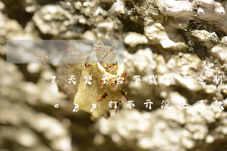 7天贷平台下载不了逾期了怎么办-七天贷app打不开没法还款