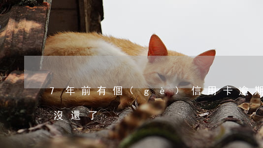 7年前有個(gè)信用卡逾期(信用卡7年沒還了)