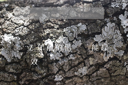 7年前的借條還能起訴嗎(借條7年起訴還有效嗎)