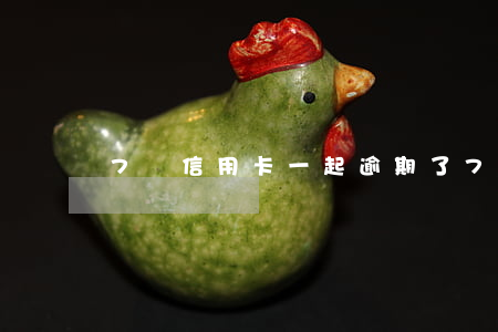 7張信用卡一起逾期了（7張信用卡一起逾期）