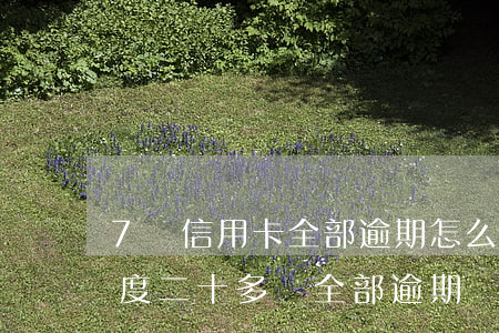 7張信用卡全部逾期怎么辦(六七張信用卡額度二十多萬全部逾期)