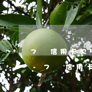 7張信用卡欠5萬(wàn)還不上怎么辦-7張信用卡欠5萬(wàn)還不上怎么辦呢