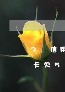 7張信用卡欠5萬沒有還怎么辦-7張信用卡欠5萬沒有還怎么辦呢