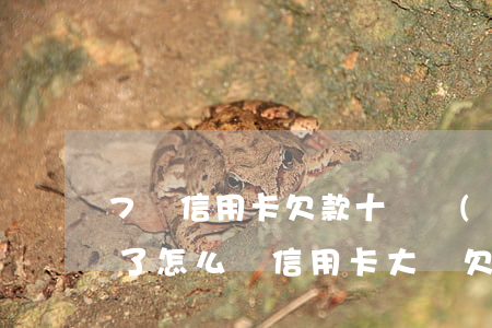7張信用卡欠款十幾萬(wàn)全部逾期了怎么辦（信用卡大額欠款逾期）