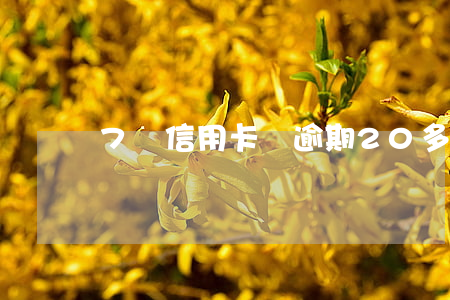 7張信用卡總逾期20多次